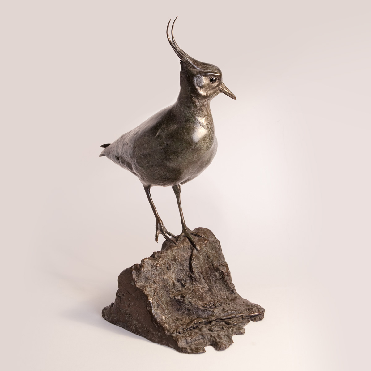 Lapwing