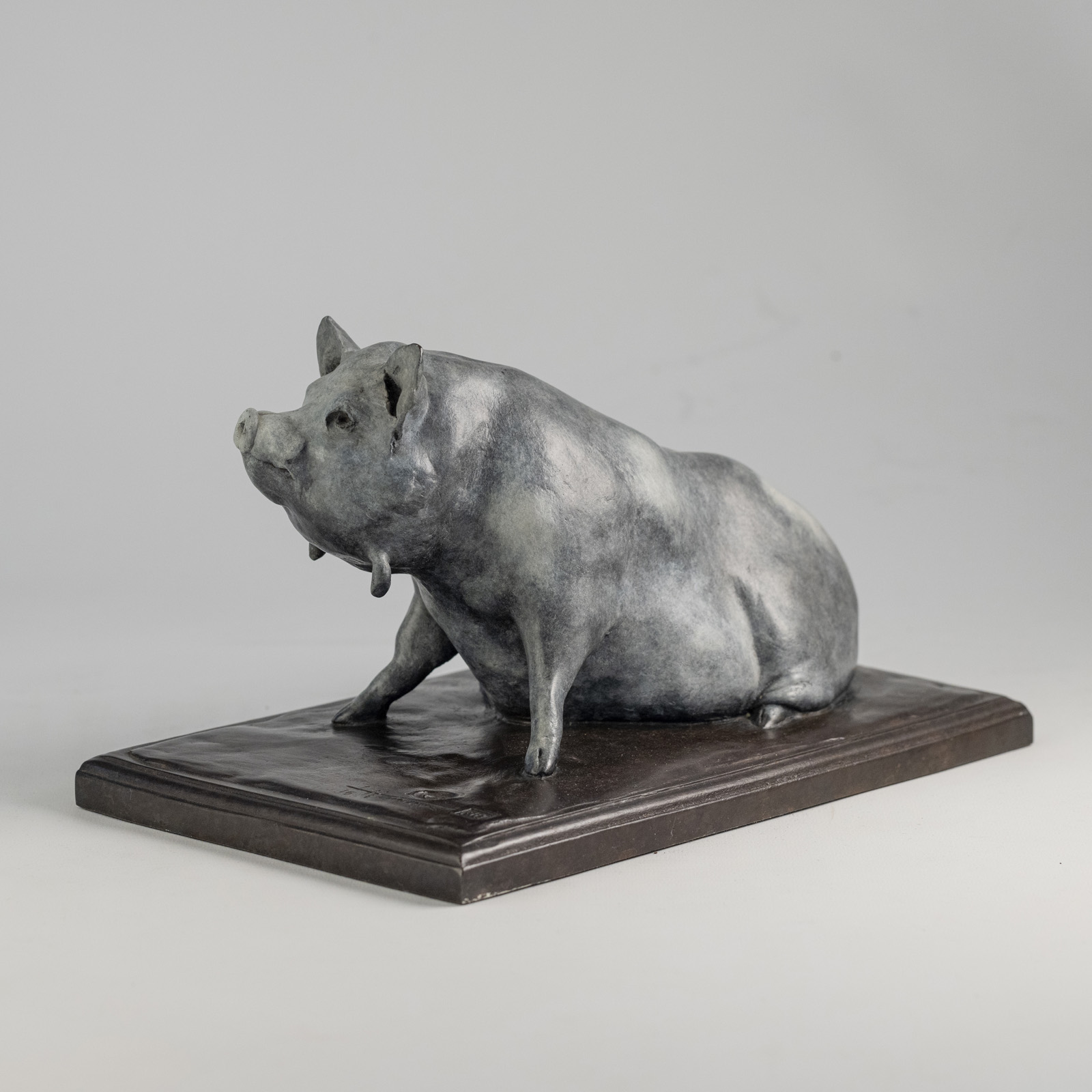 Pig