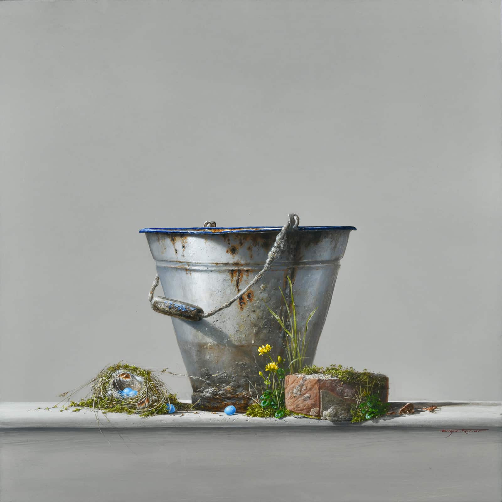 Brick, bucket, celandine and dunnock’s nest